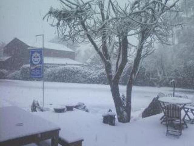 Forest Lodge Methven Buitenkant foto